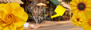 Read more about the article Taking Your Marketing to the Next Level